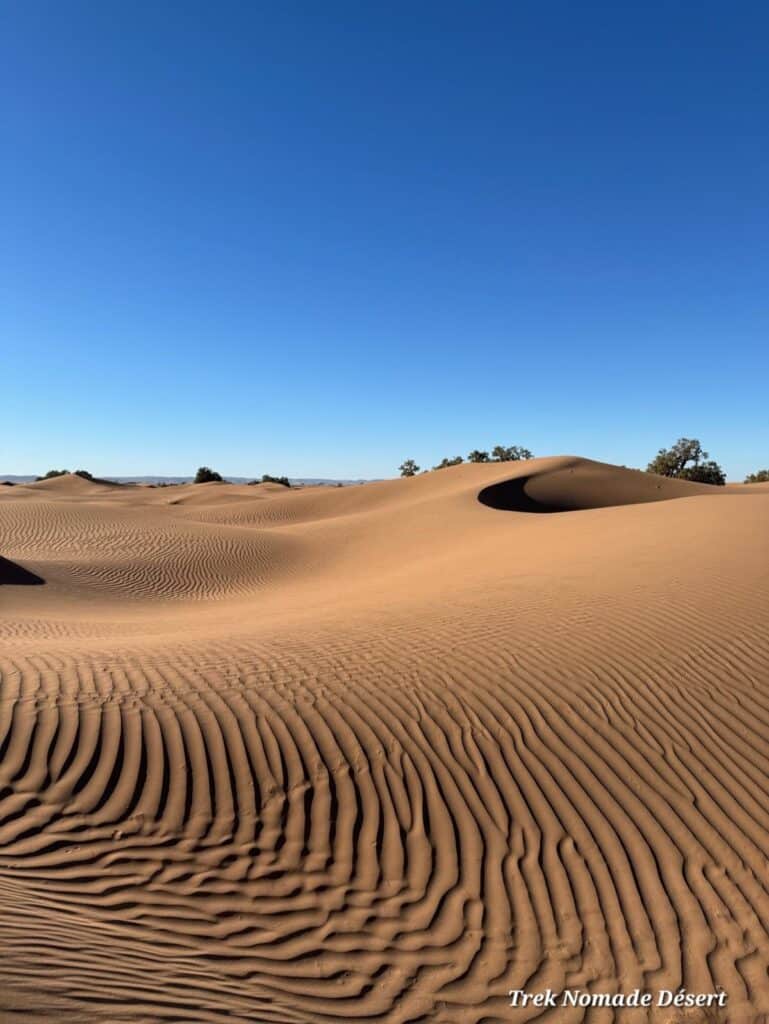 Ondes laissées dans le sable aux pieds des dunes hurlantes