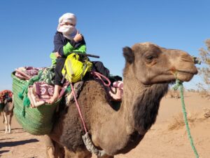 Un enfant assis sur un dromadaire lors d'un trek en famille dans le désert marocin.