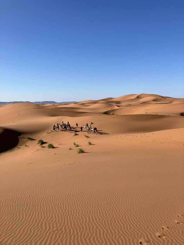 Caravane dans les dunes e l'Erg Zahar