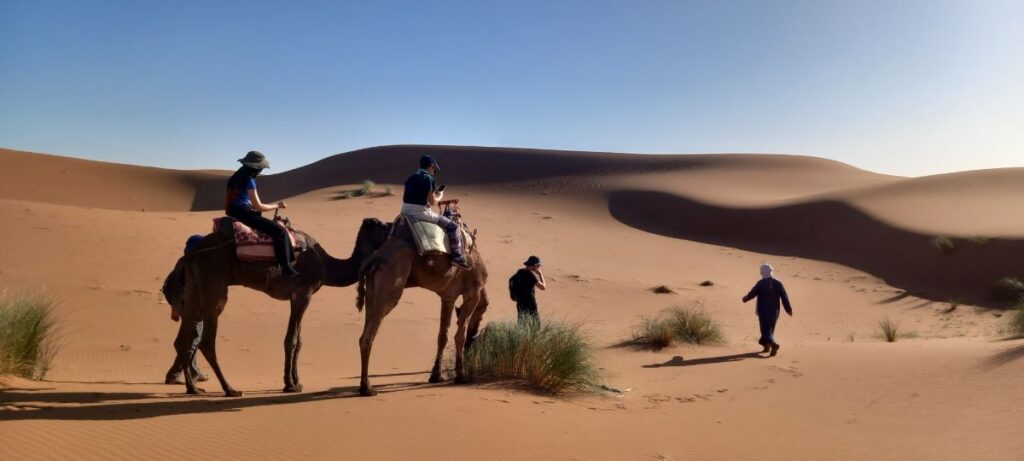 Balade en dromadaire dans l'erg Chegaga lors d'un circuit en 4x4 dans le sud marocain.