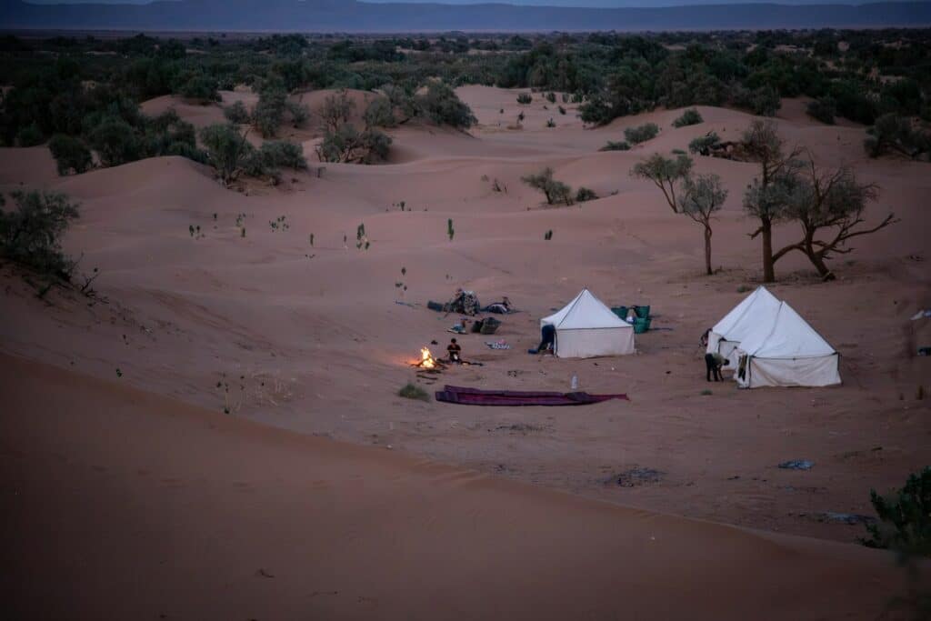bivouac de 2 tentes installé dans une zone plus végétalisée du sahara proche de M'hamid entre dunes et tamaris