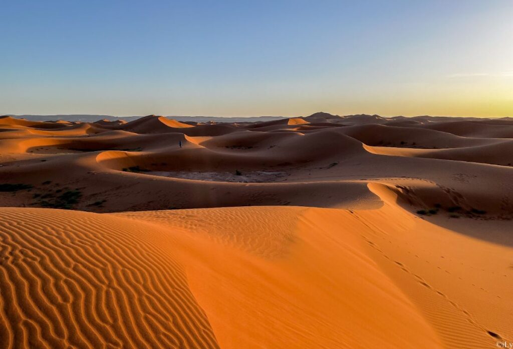 Champ de dunes de l'erg Chegaga.