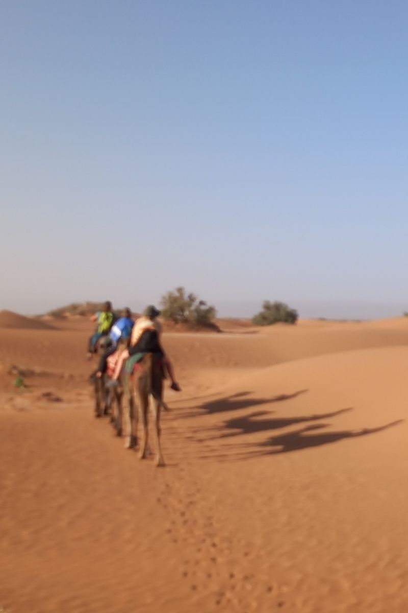 meharee-desert-mhamid Camel caravan in the M’Hamid desert